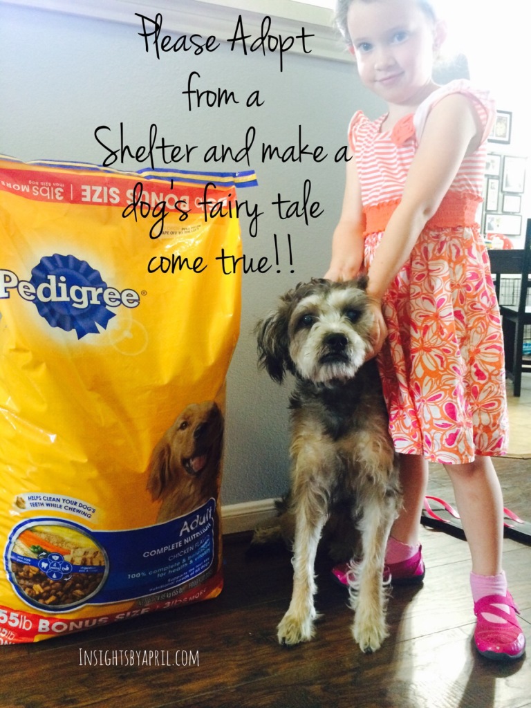 Pedigree Pet Adoption