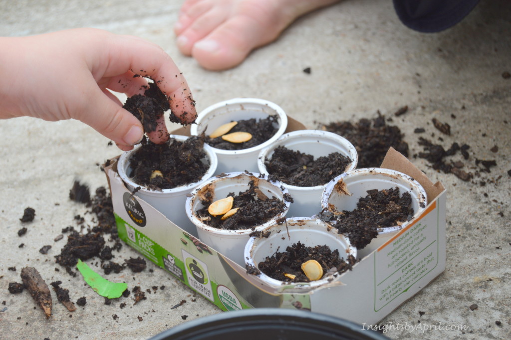 kids seed starts k-cups