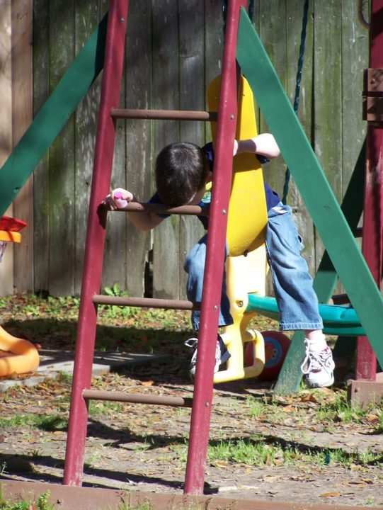 Day in the Life January 11, 2012 Monkey Swing