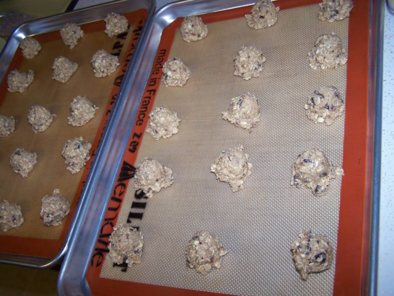 Day in the Life January 10, 2012 Cookies!!!