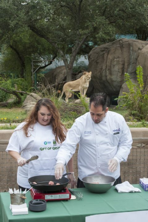 Making Meatballs for the Lions at the Houston Zoo