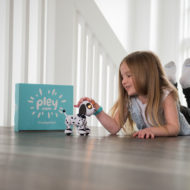 Are Your Kids Bored with Christmas Toys Already?