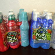 Road Trip Snack Packing with Fruit Shoot
