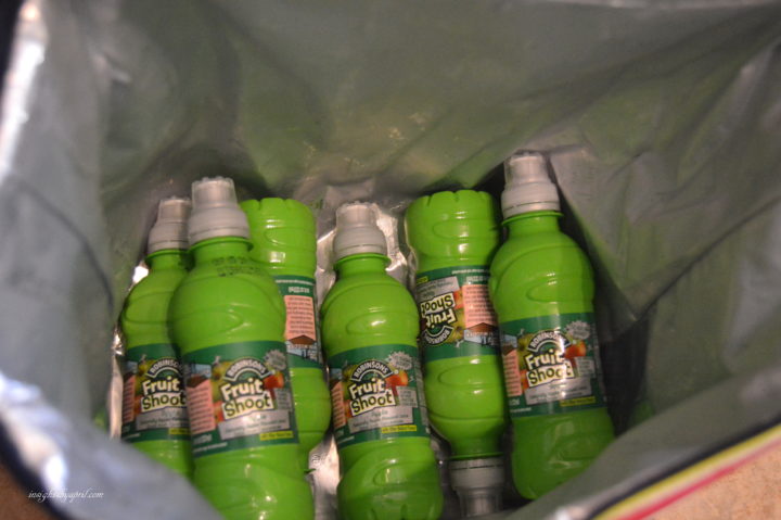 frozen fruit shoot bottles