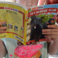 ASPCA Kids: Rescue Readers

(adsbygoogle = window.adsbygoogle || []).push({});
