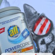 Strawberry Cookies and a Flour Fight