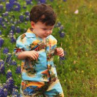 Bluebonnet Pics in Texas