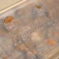 Homestyle Pot Roast- What To Do With Leftovers