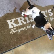 Products for Your Holistic Pet from Kriser’s Natural Pet
