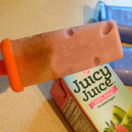 Juicy Juice Yogurt Juice Pops Recipe