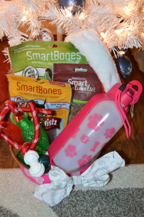 what to get your dog for christmas