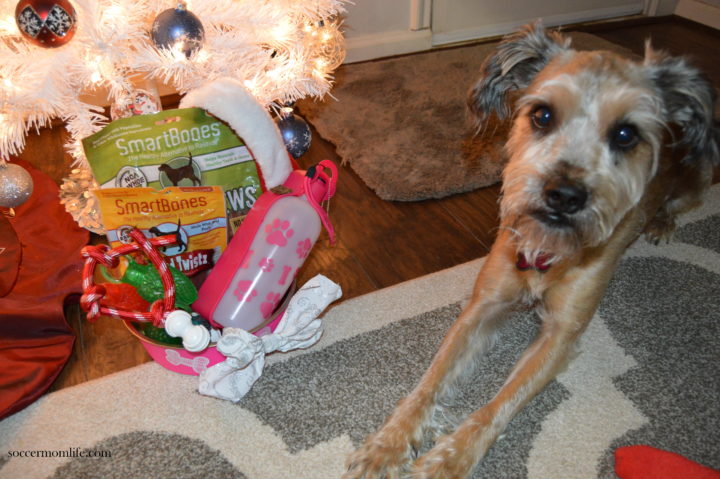 what to get dog for Christmas