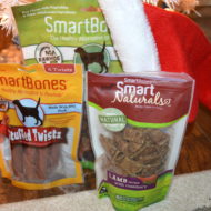 What to Get Your Dog for Christmas