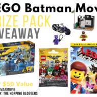 LEGO Batman Movie Giveaway

(adsbygoogle = window.adsbygoogle || []).push({});
