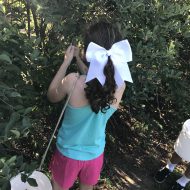 Helping Tame Dry Summer Hair
