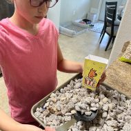 Camp Warner Bros. Week 4- Scooby-Doo!: WrestleMania Mystery!